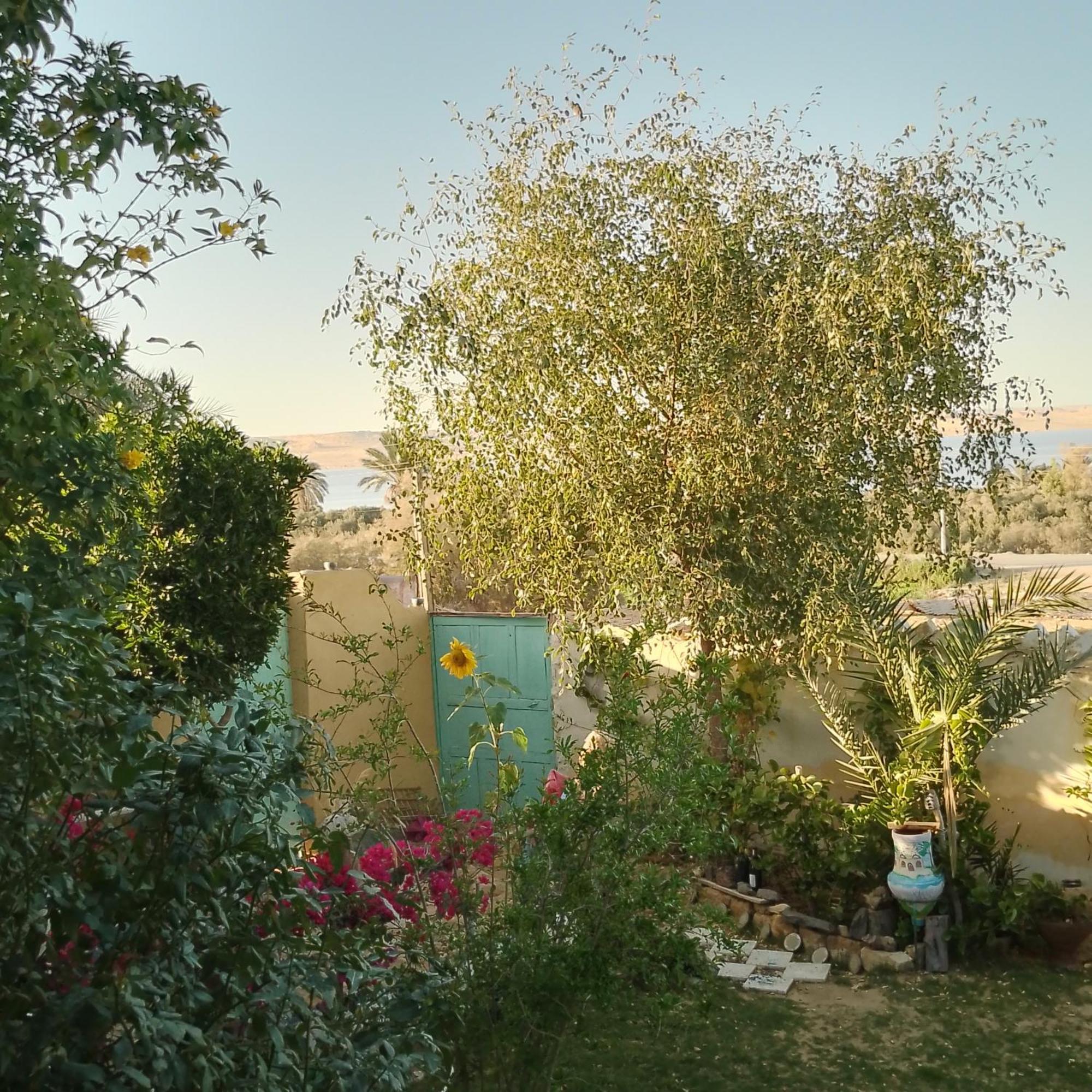 Kayan House Villa Tunis Exterior photo